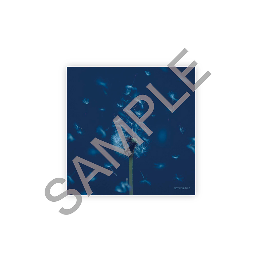 ジャケットステッカー(通常盤ver.)